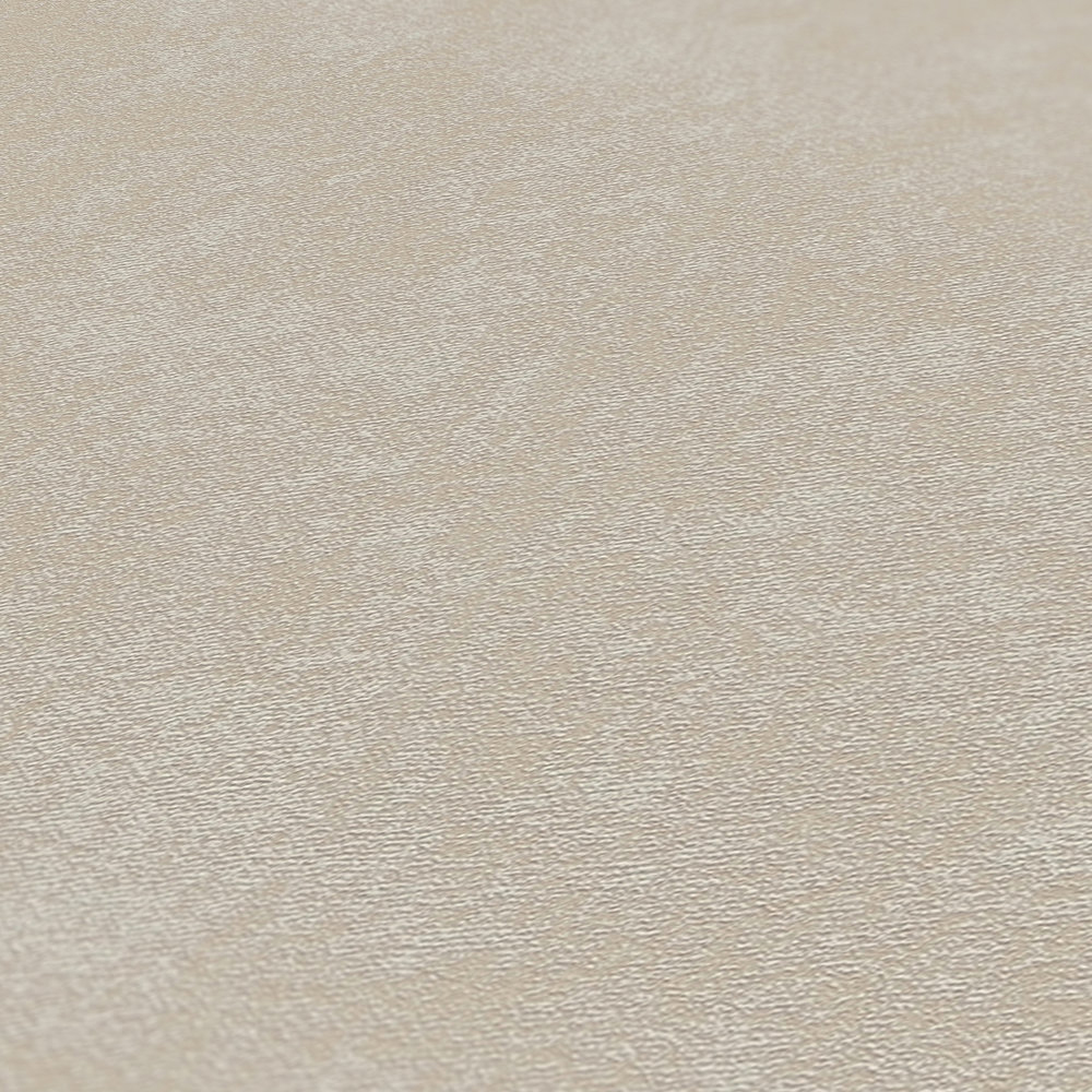 Papier peint Uni Délicat Expansé grège - Casual Living d'A.S. Création AMB6| Réf. AS-393412