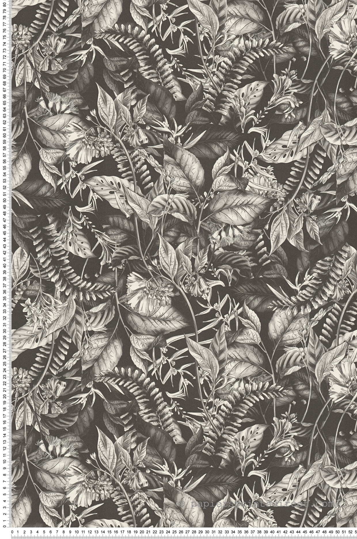 Papier peint Végétaux Jungle Feuillage noir blanc - Drawn Into Nature d'A.S. Création | Réf. AS-394252