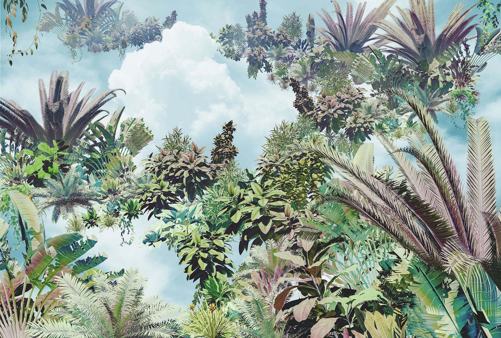Papier peint jungle nuage panoramique Tropical Heaven - Papier peint Komar Home