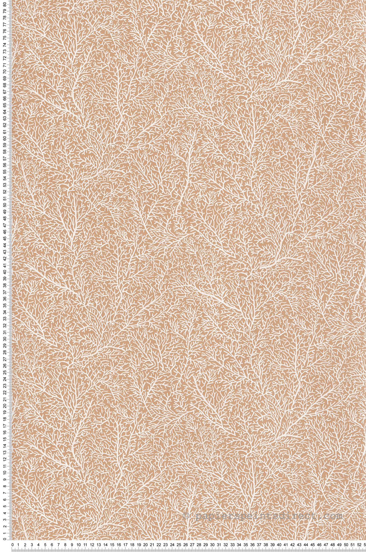 Papier peint Coraux Only Chips saumon - Sea You Soon de Casélio | Réf. SYO102783097