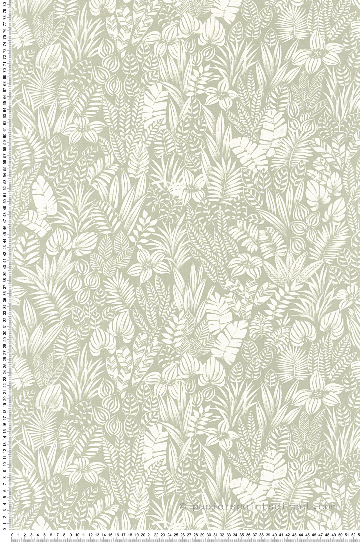 Papier peint Jungle Napa Valley vert aloe - California de Casadéco | Réf. CALF88827272