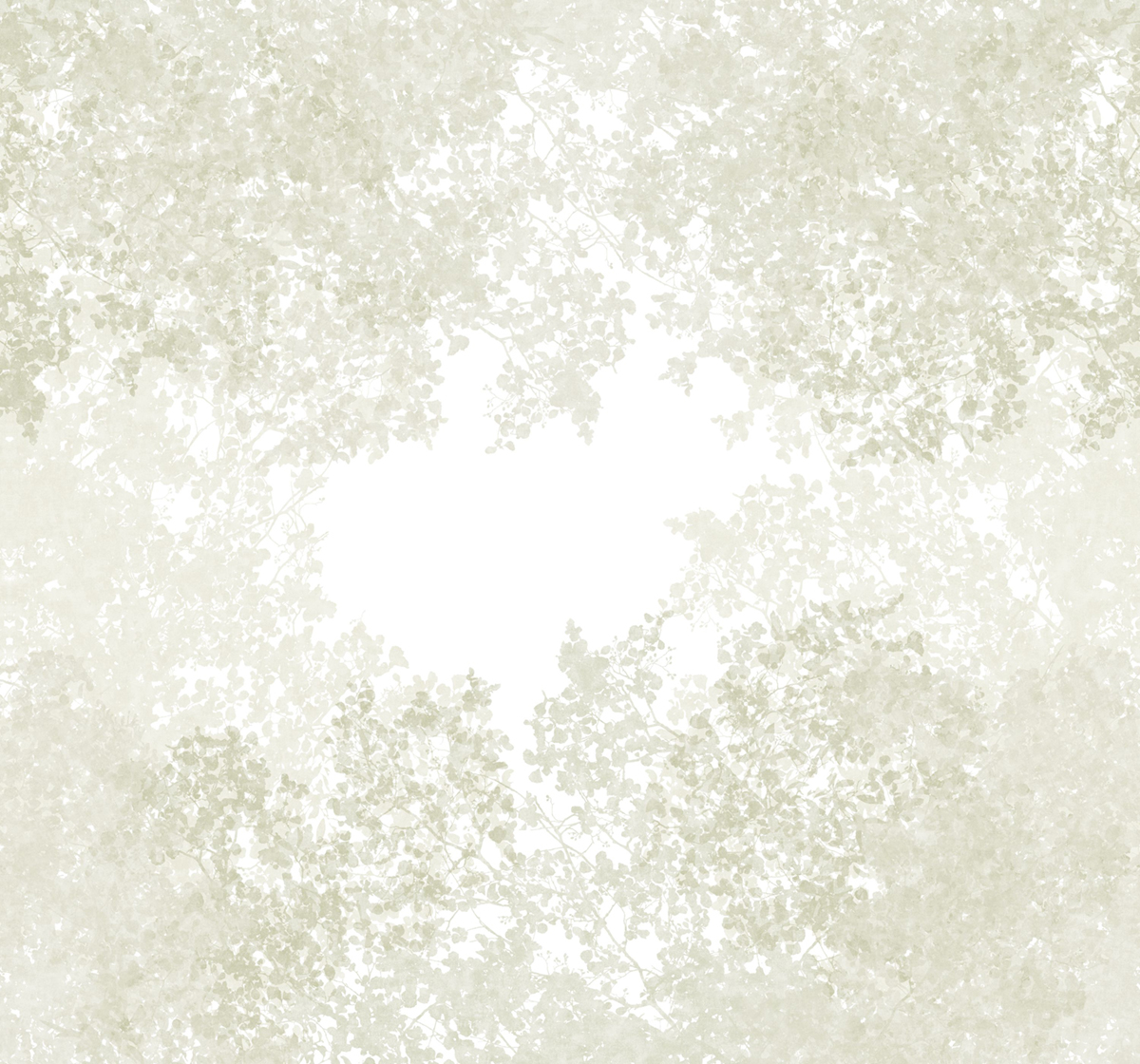 Papier peint panoramique Végétaux Chemin des Cimes M vert lichen 300X280 - Wonderwalls 2 de Casadéco | Réf. WDWD200137208