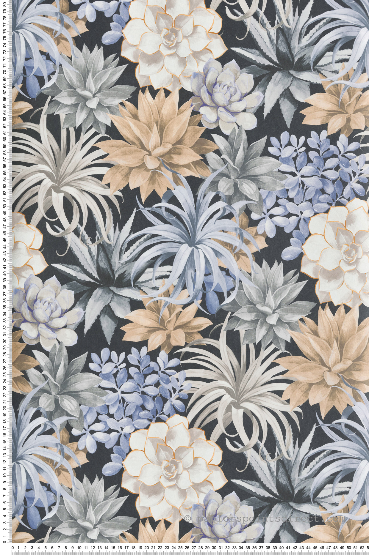 Papier peint Plante Echeveria noir bleu - Botanica de Casadéco | Réf. BOTA85911964