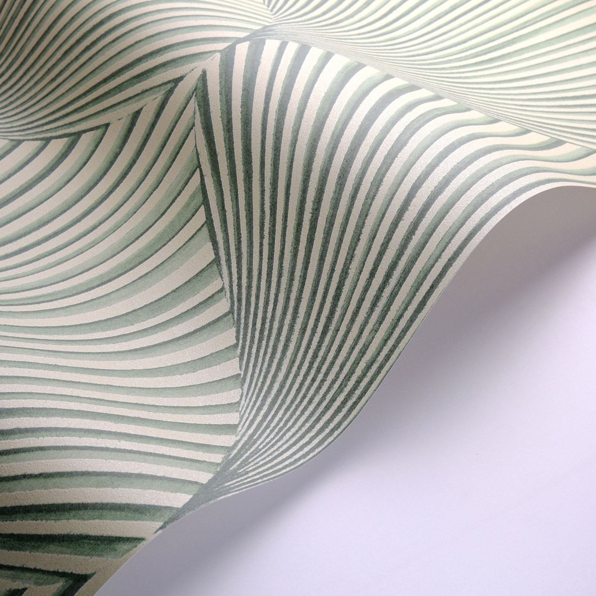 Papier peint Feuille Coquillage Semiramis vert beige - Babylone de Casadéco AMB5| Réf. BBLN89767533