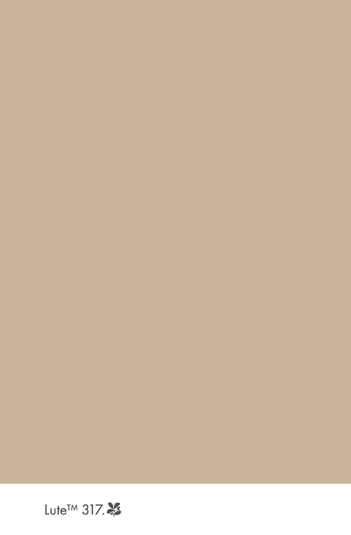 Peinture Little Greene Lute n°317 Intelligent Gloss 1 litre