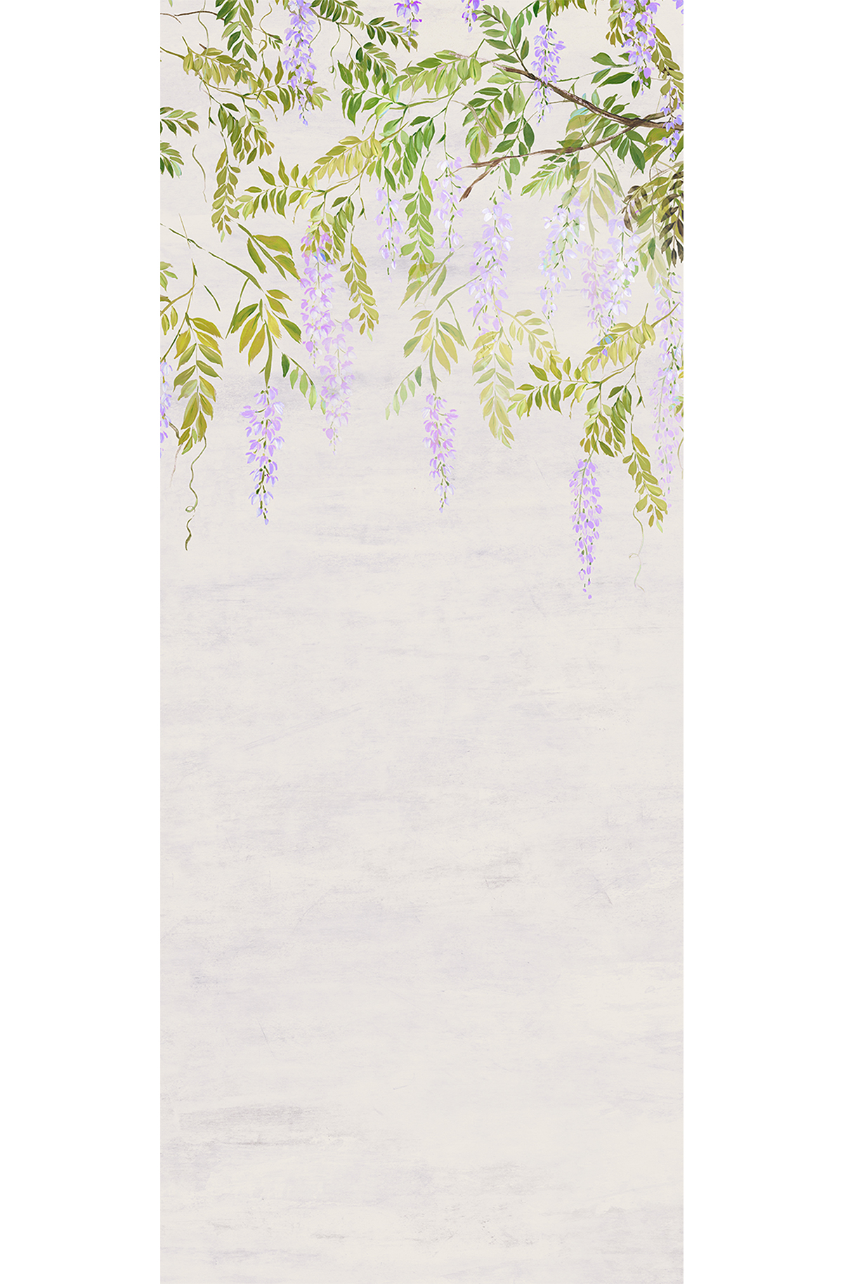 Papier peint panoramique Fleurs Glycine Patio violet - A H260 - Wall Designs IV de Masureel | Réf. MAS-DG4PAT1031-260