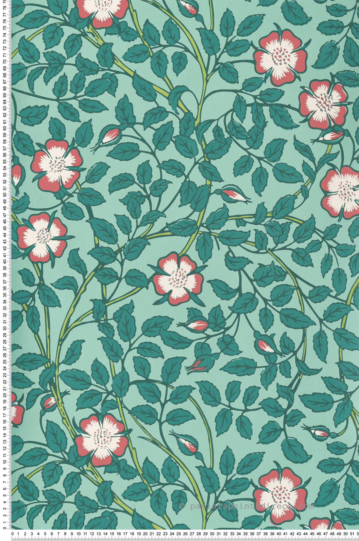 Papier peint Fleurs Briar Rose Green Verditer - National Trust Papers 3 de Little Greene | Réf. 0263BRGVERD