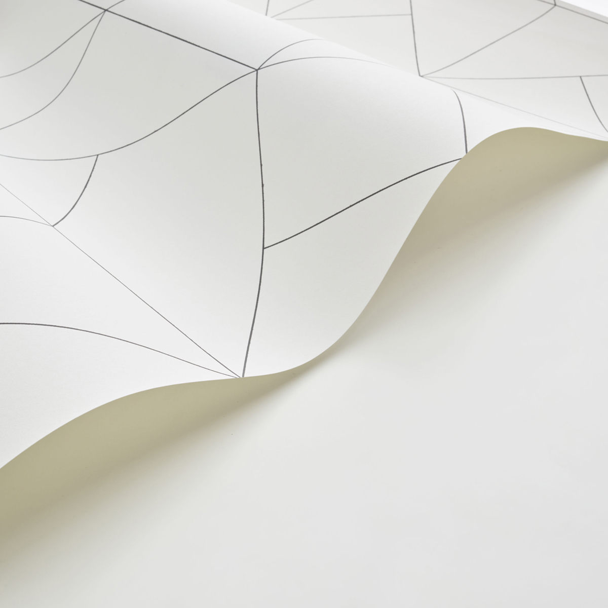 Papier peint Figure Subtilité blanc cassé noir - Alchimie de Casadéco | Réf. ALMI89951904