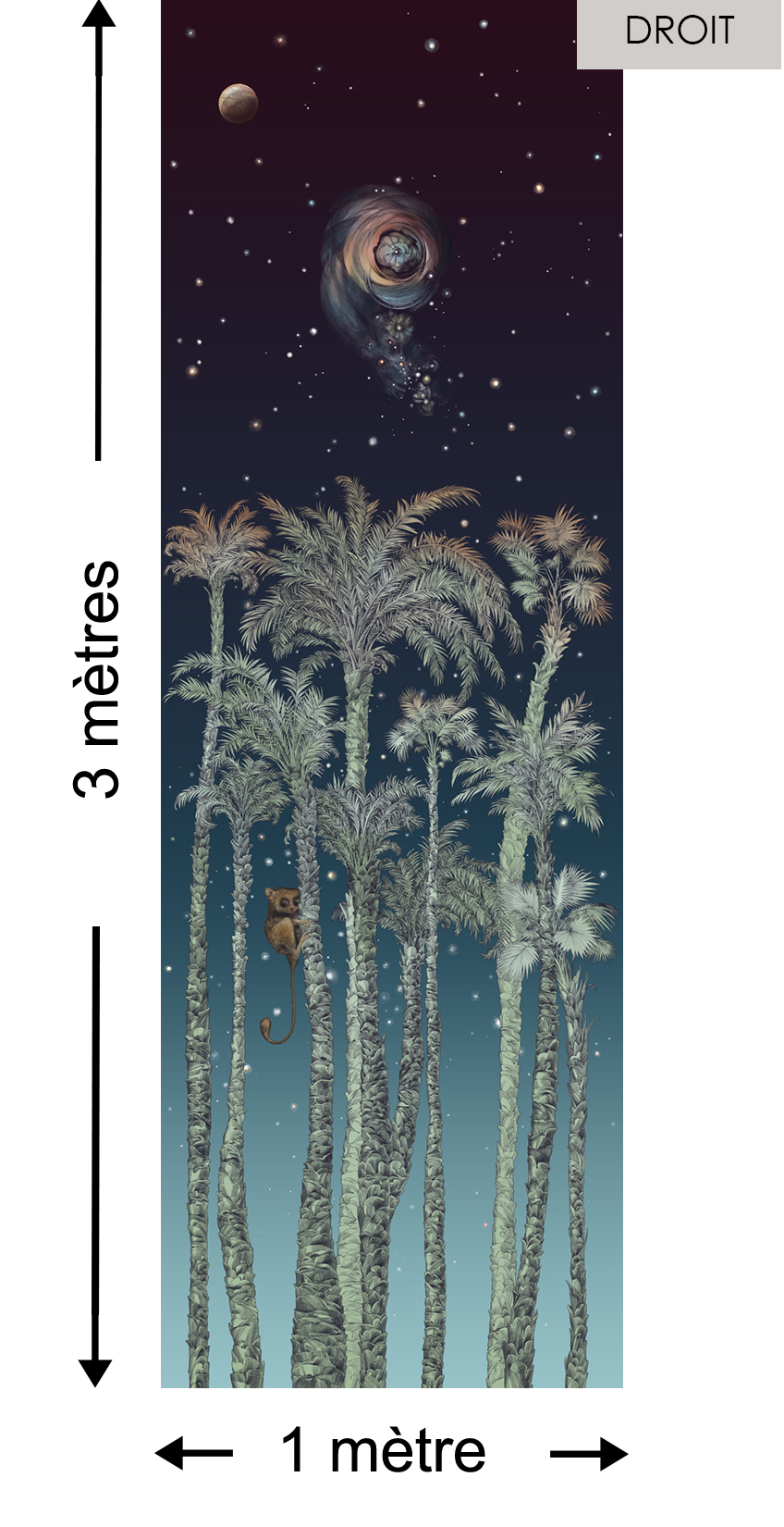 Nuit Terrienne DROITE Naturel - Collection Catherine Gran de Edmond Petit