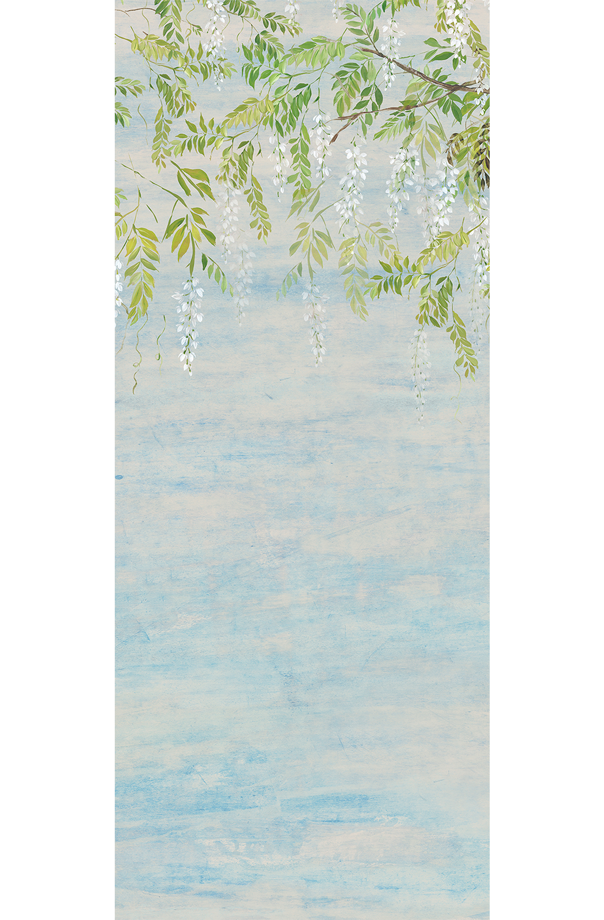 Papier peint panoramique Fleurs Glycine Patio bleu - A H260 - Wall Designs IV de Masureel | Réf. MAS-DG4PAT1021-260