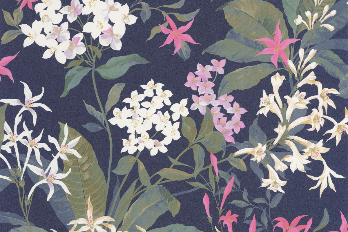 Papier peint fleur de Jasmin le beau jardin 202564567