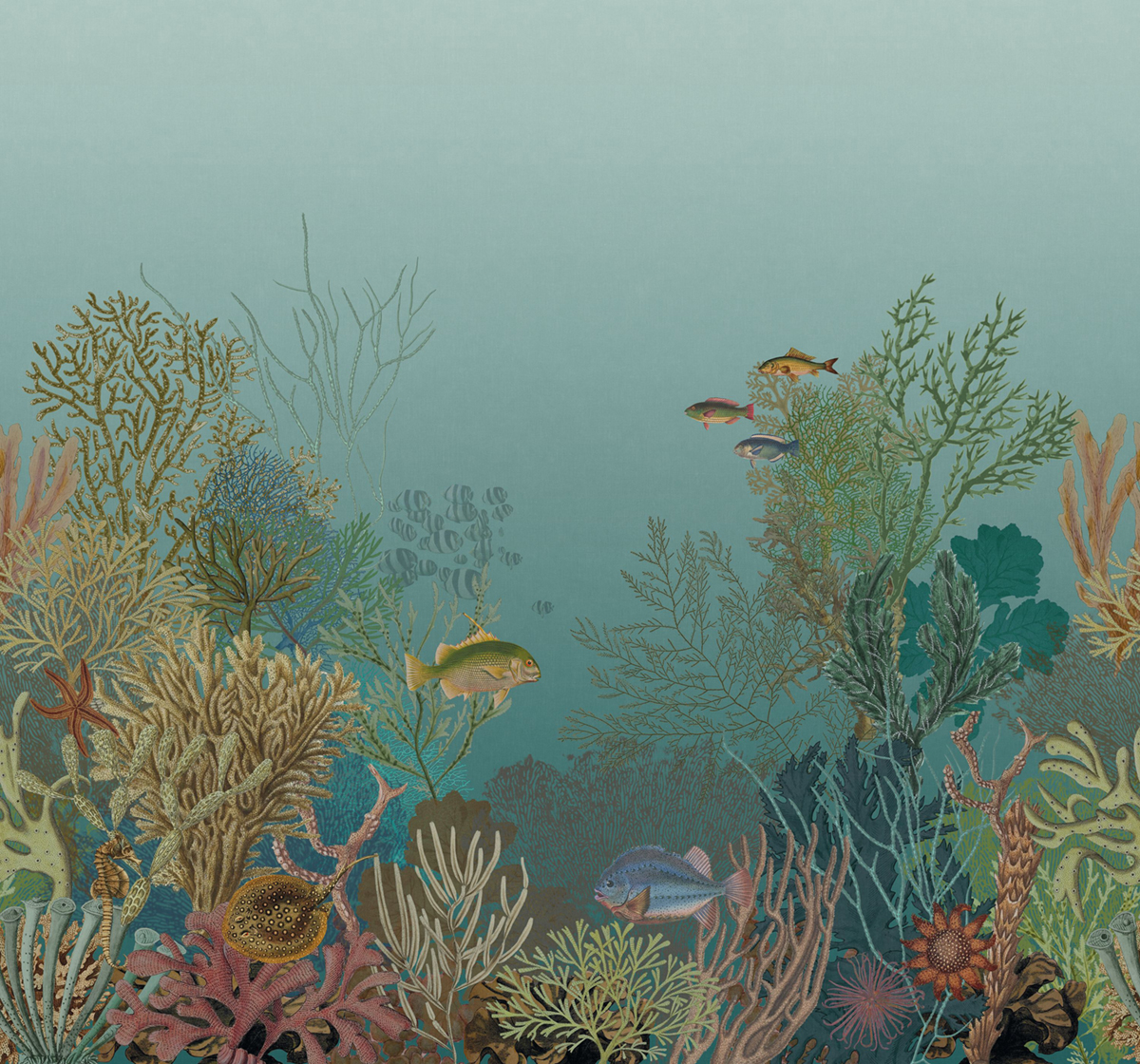 Papier peint panoramique Poisson Marin Aquarium M turquoise 300X280 - Seaside de Casadéco | Réf. SEAS201546308