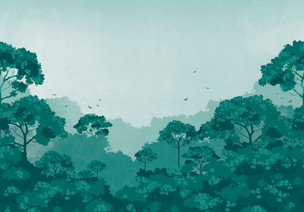 Papier peint panoramique Amazing Forest Vert M 400X280 - Pimp My Wall de Casélio | Réf. PMW104727711