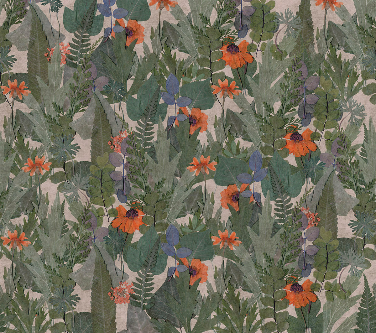 Papier peint panoramique Végétaux Herbier vert orange - Herbier de Montecolino | Réf. MC-HED27290