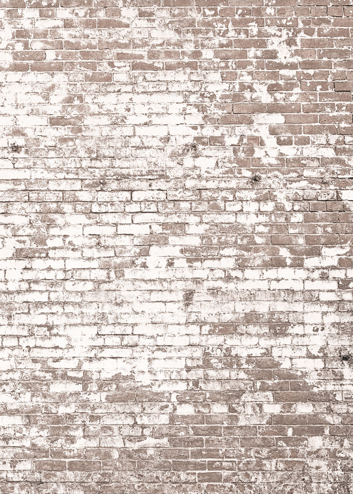 Papier peint Panoramique Brique Poetic Wall beige 200x280 - Young And Free de Casélio | Réf. YNF103431903