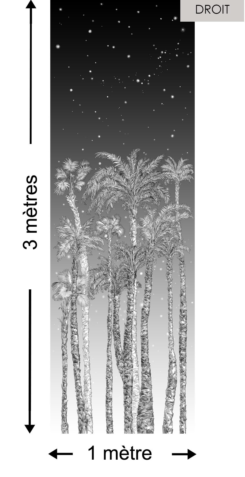 Nuit Etoilée DROITE Noir & Blanc - Collection Catherine Gran de Edmond Petit