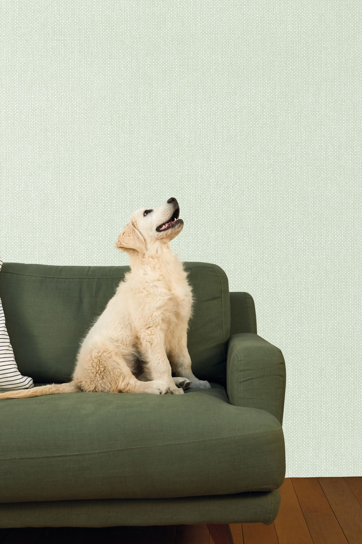 Papier peint Uni Mat Damier vert amande - Stay Wild de Casélio | Réf. WILD104997013