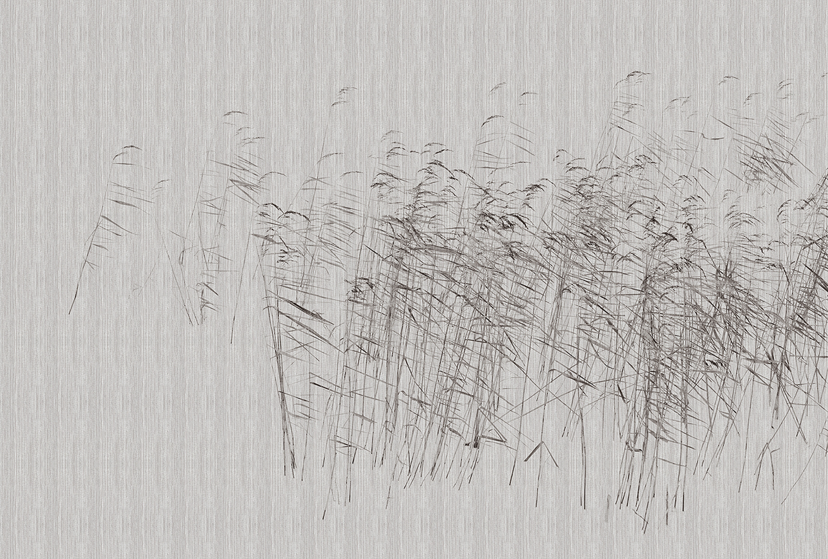 Papier peint panoramique Roseau At The Pond 2 bleu - Référence DD122056 - Intissé 200g/m2 - 400 x 270 cm