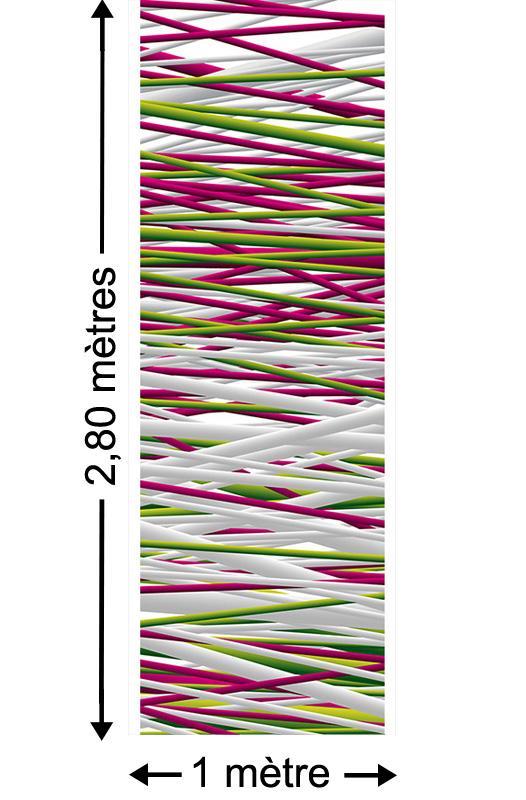 New Bamboo - Papier peint lé unique