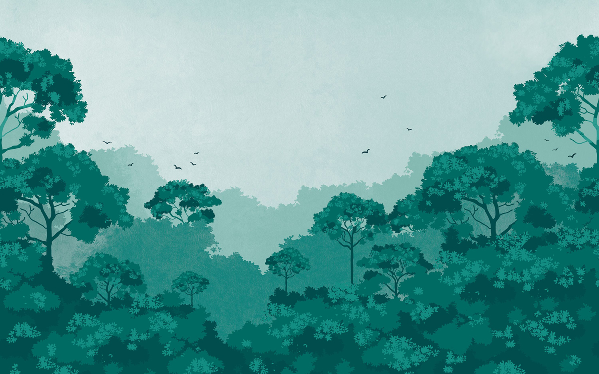 Papier peint panoramique Amazing Forest Vert S 400X250 - Pimp My Wall de Casélio | Réf. PMW104727710