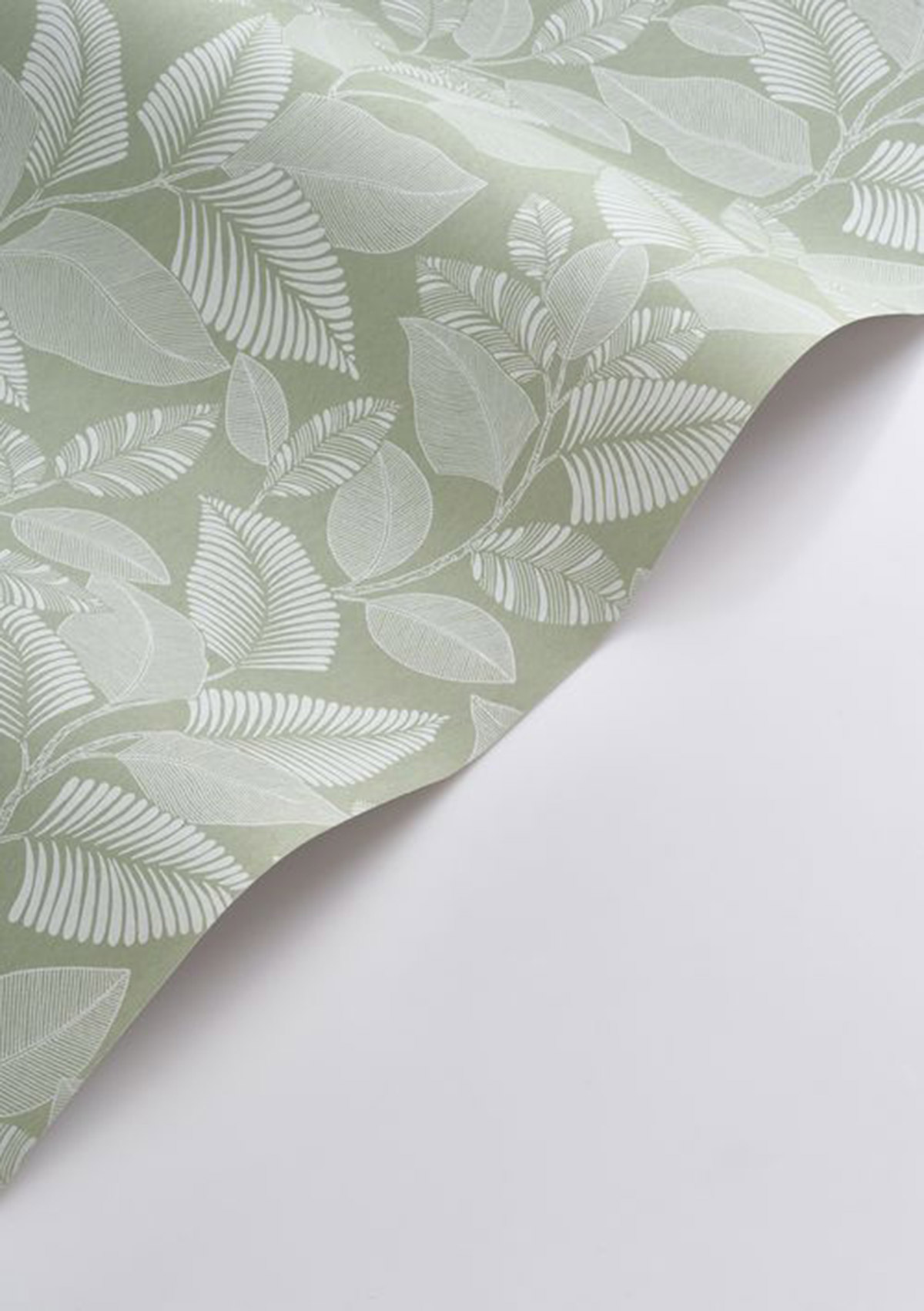 Papier peint Feuillage Paraty vert amande - Rio de Casadéco AMB4| Réf. RIOC201807244