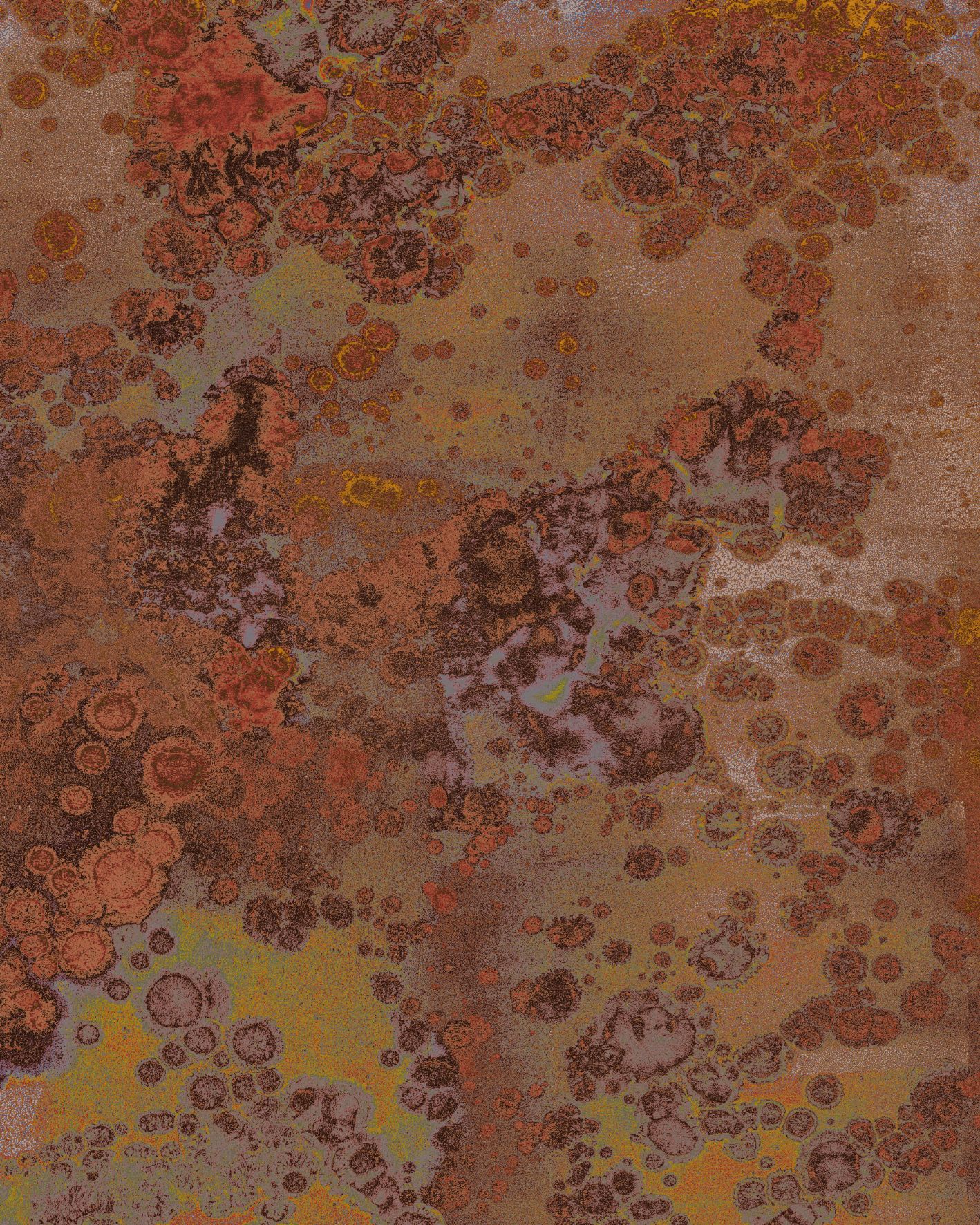 Patina - panoramique Komar AMB