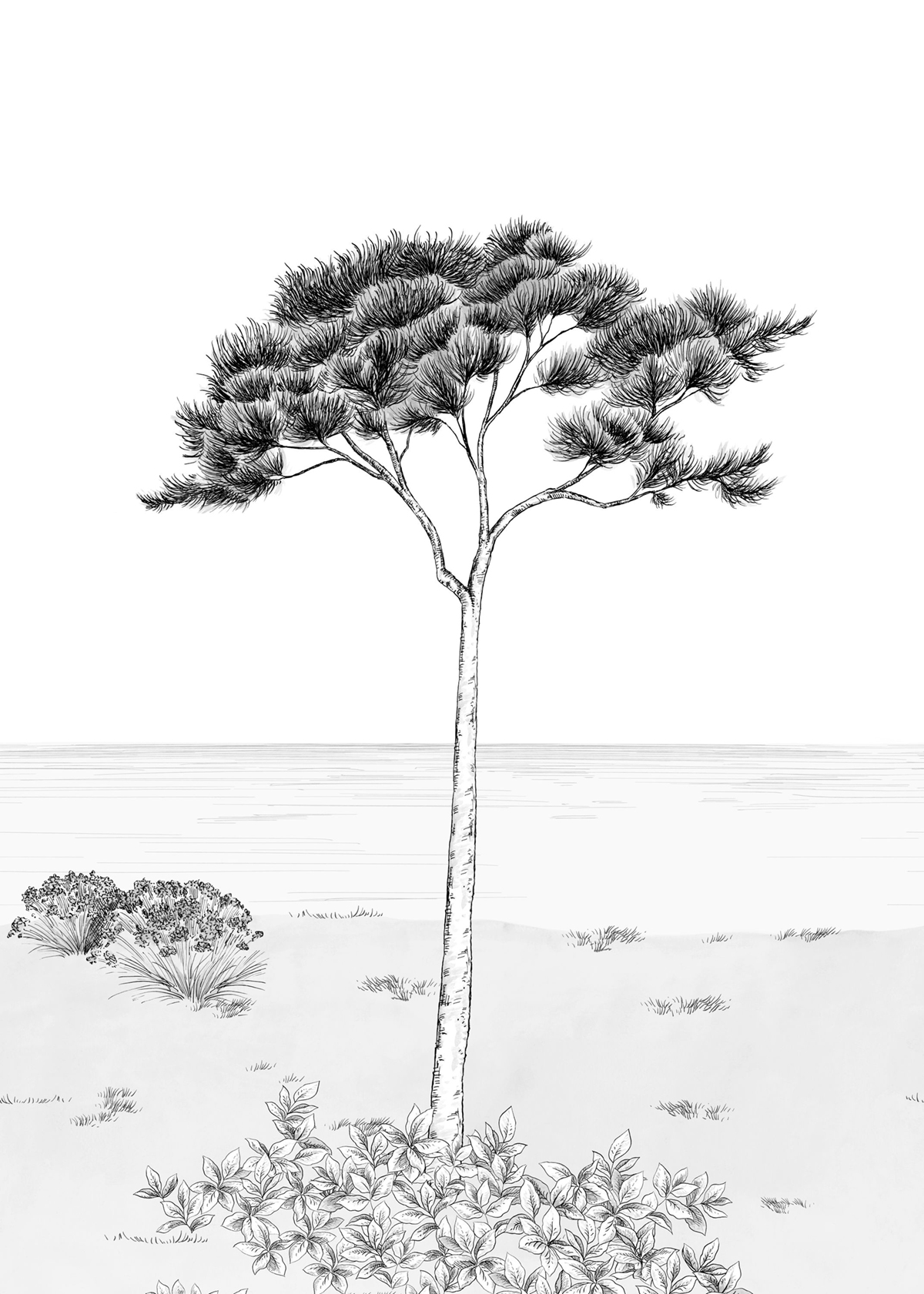 Papier peint panoramique Arbre Parfum de Pin M noir blanc 200X280 - Wonderwalls 2 de Casadéco | Réf. WDWD200029103