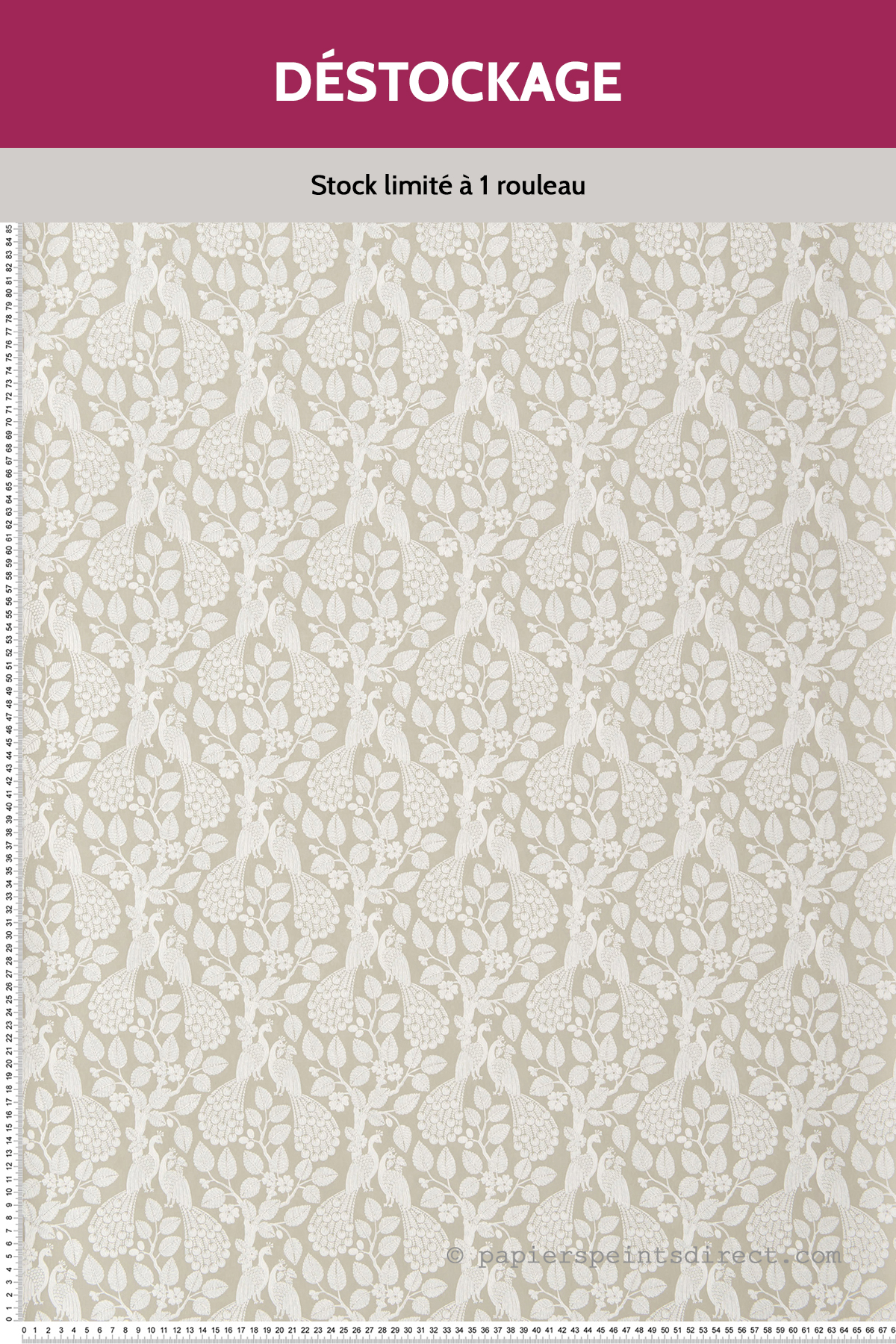Papier peint Destockage - Oiseau paon beige - Small Prints