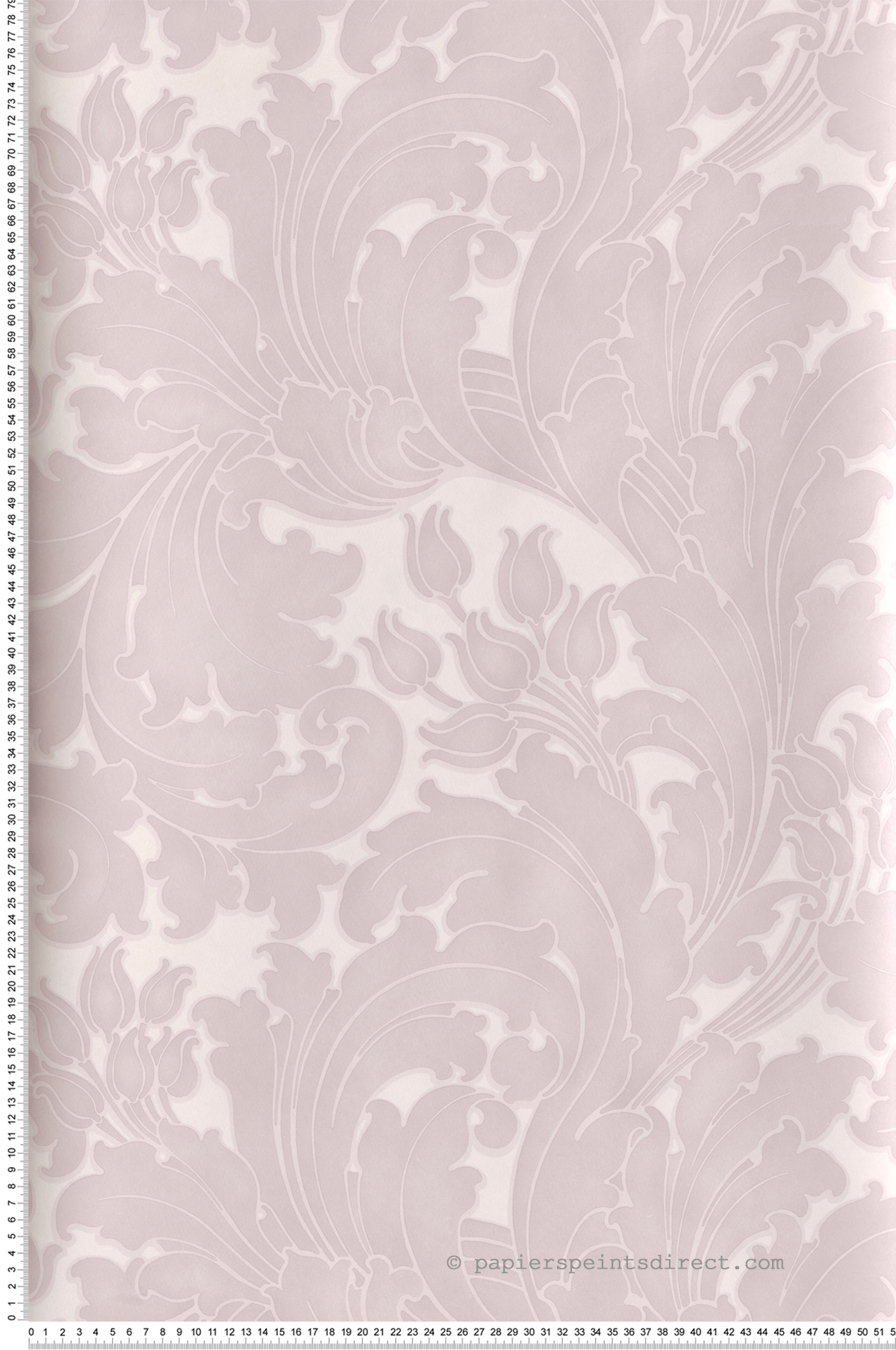 Papier peint baroque Tulip Sugar - National Trust Papers 2 de Little Greene | Réf. 0260TUSUGAR