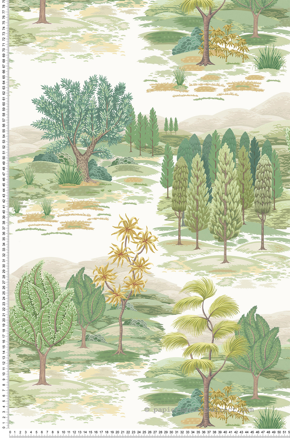 Papier peint Nature Monteverde vert - Ananda d'Osborne & Little | Réf. OSB-W8035-01