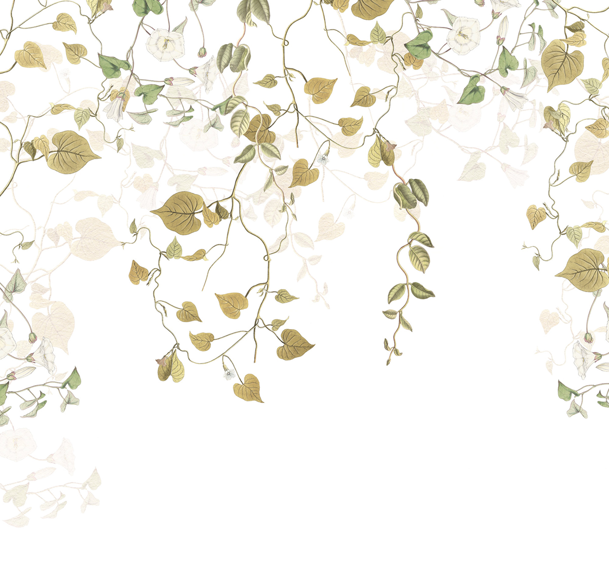 Papier peint feuille panoramique Hedera - Papier peint Komar RAW