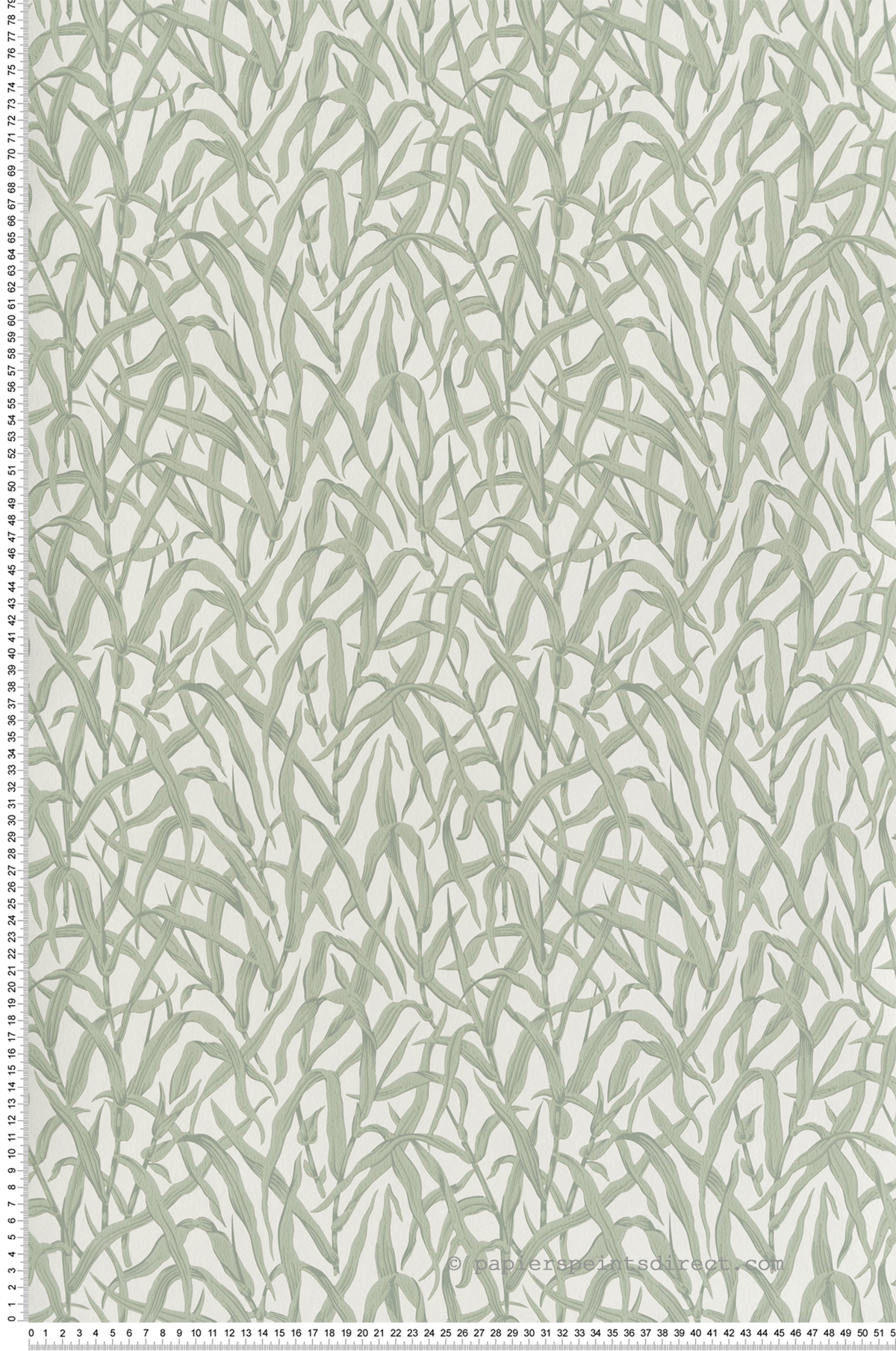 Papier peint Feuilles Ornamental Grasses vert - V&A Decorative Papers III d'Initiales | Réf. INI-2513-185-01