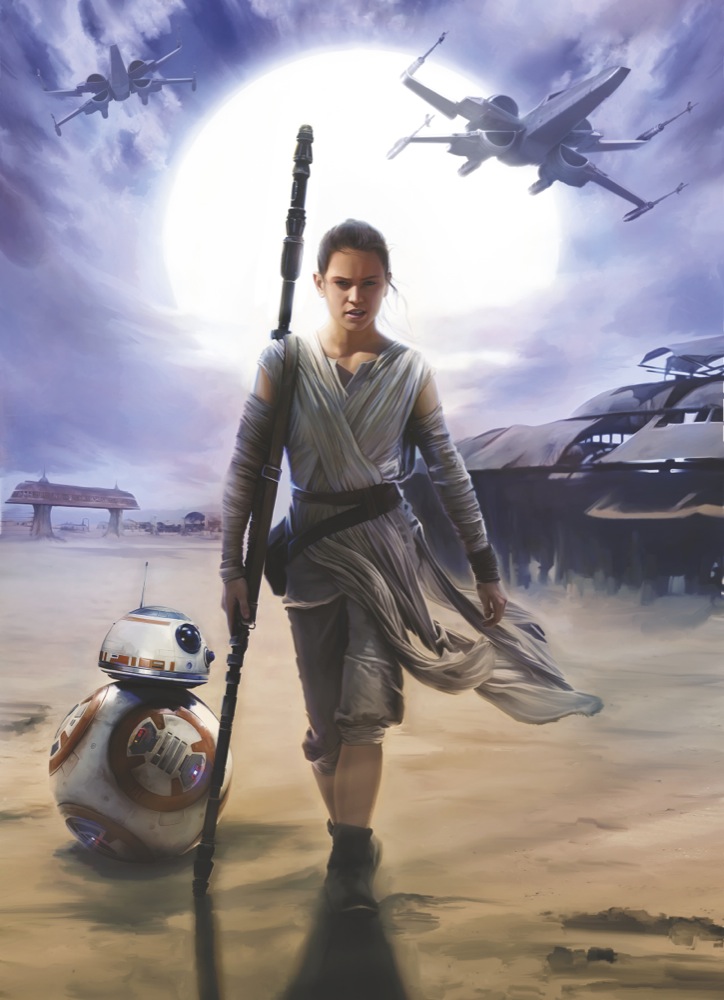Star Wars Rey - Panoramique Komar