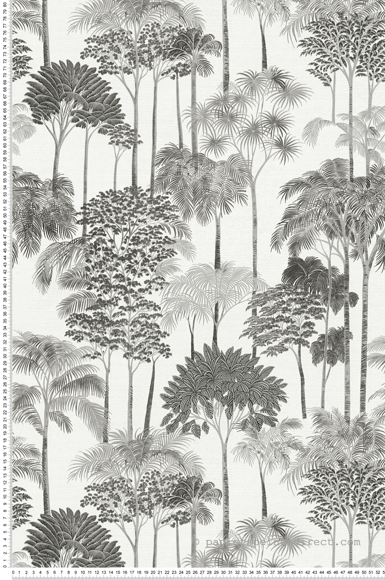 Papier peint Palmeraie Arbre Jungle noir et blanc - Cuba 2 d'A.S. Création | Réf. AS-791625