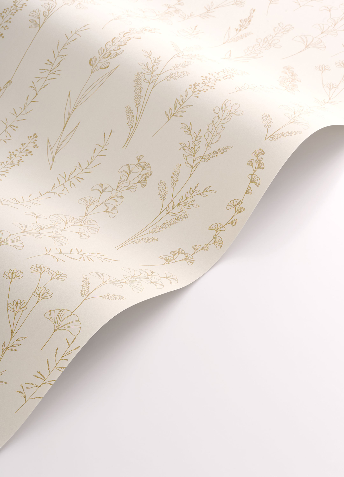 Papier peint Carnet Botanique naturel - Le Beau Jardin de Casadéco VAGUE | Réf. BJAR202591234