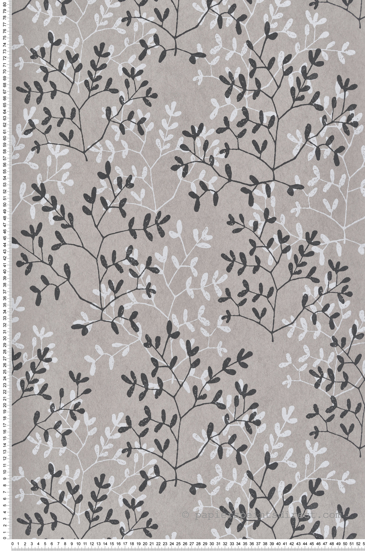 Papier peint Feuillage Délicat grège anthracite - Esterel de Montecolino | Réf. MC-AN28252