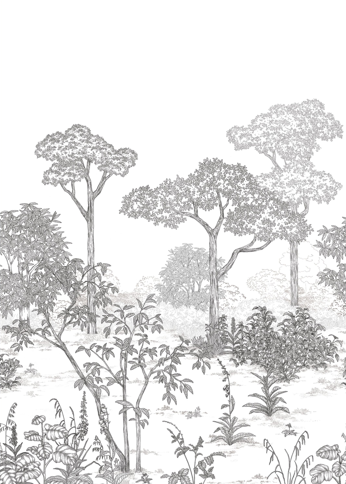 Papier peint panoramique Forêt Gravure Arboretum noir et blanc 200X280 - Art of Botany de Casélio | Réf. AOB106690903