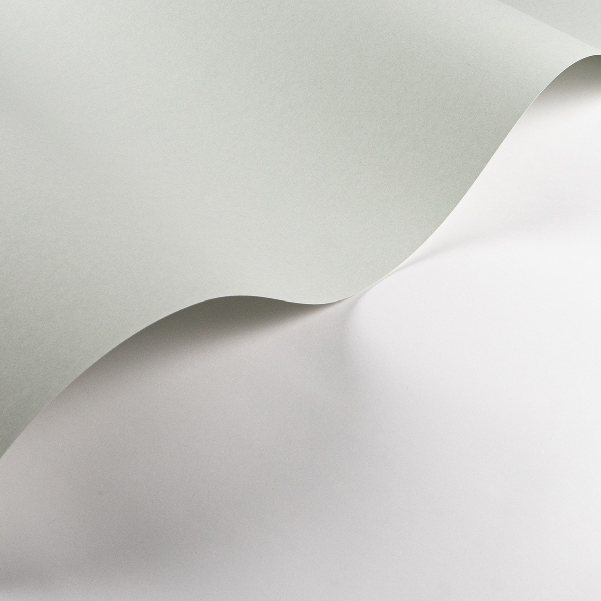 Papier peint Uni Pigments Buvard vert d'eau - Galons et Frises de Casadéco AMB2| Réf. GAFR200336161