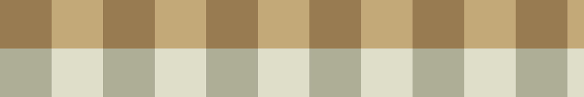 Galon Vichy Carreau Charmante argile ocre - Galons et Frises de Casadéco AMB4| Réf. GAFR200377100