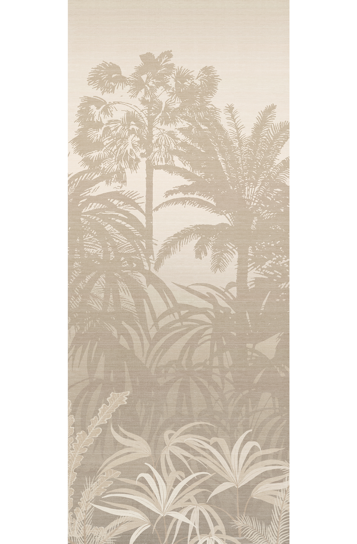 Papier peint panoramique Jungle Awarra beige - A H260 - Amazone de Masureel | Réf. MAS-DGZON1011-260