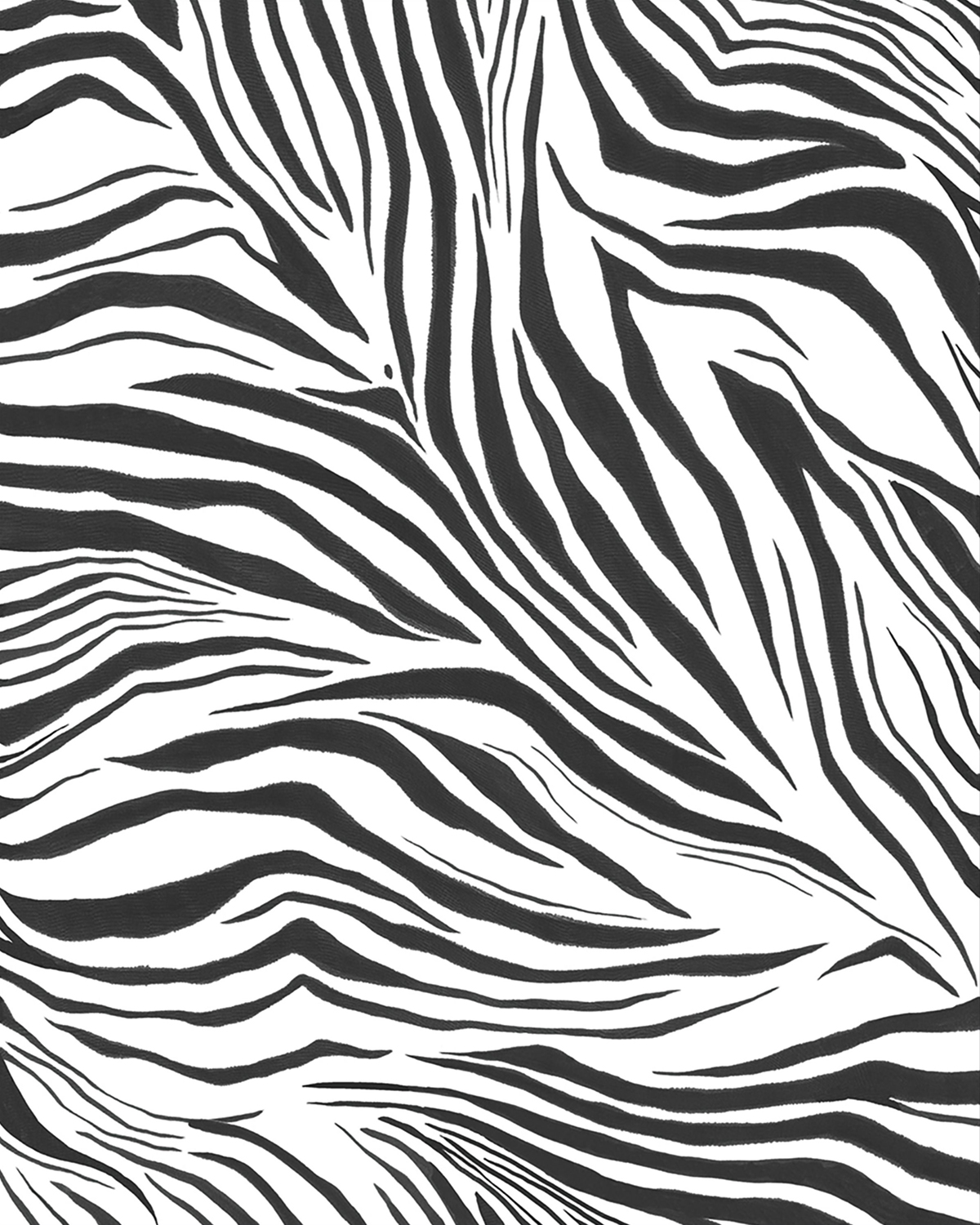 Papier peint panoramique Imprimé Zebra S blanc noir 200X250 - Stay Wild de Casélio | Réf. WILD104960905