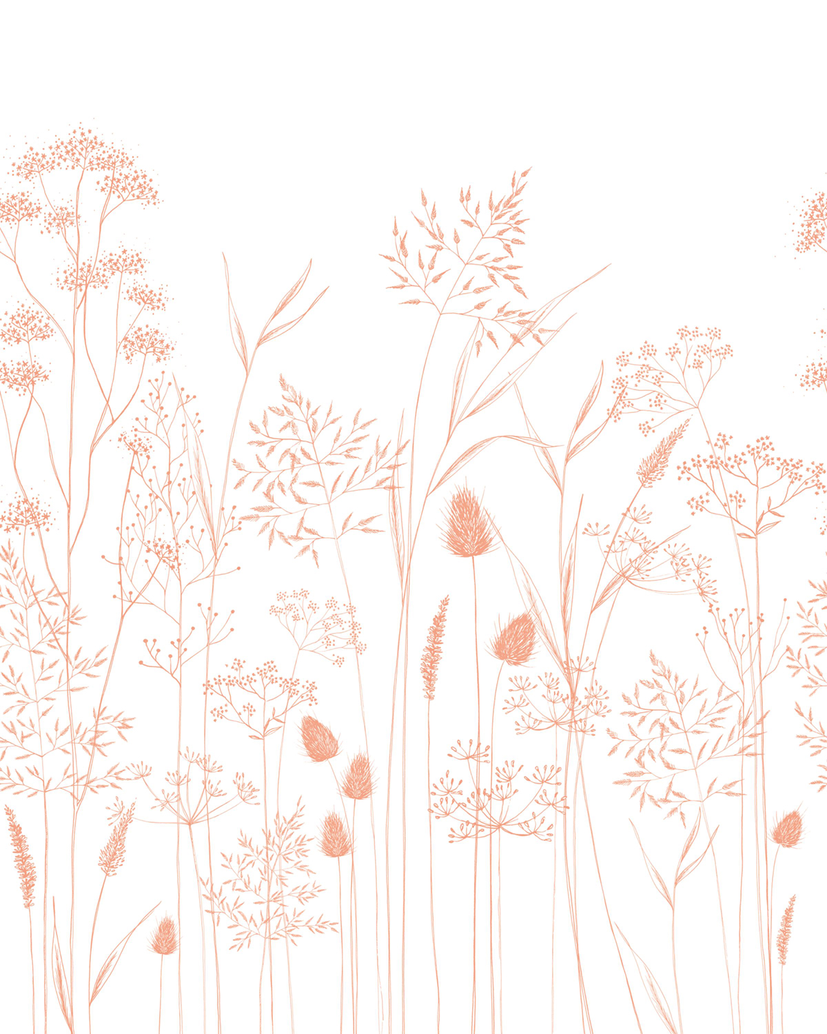 Papier peint panoramique Fleur Capillaris S corail 200x250 - Wonderwalls de Casadéco | Réf. WDWS89143605