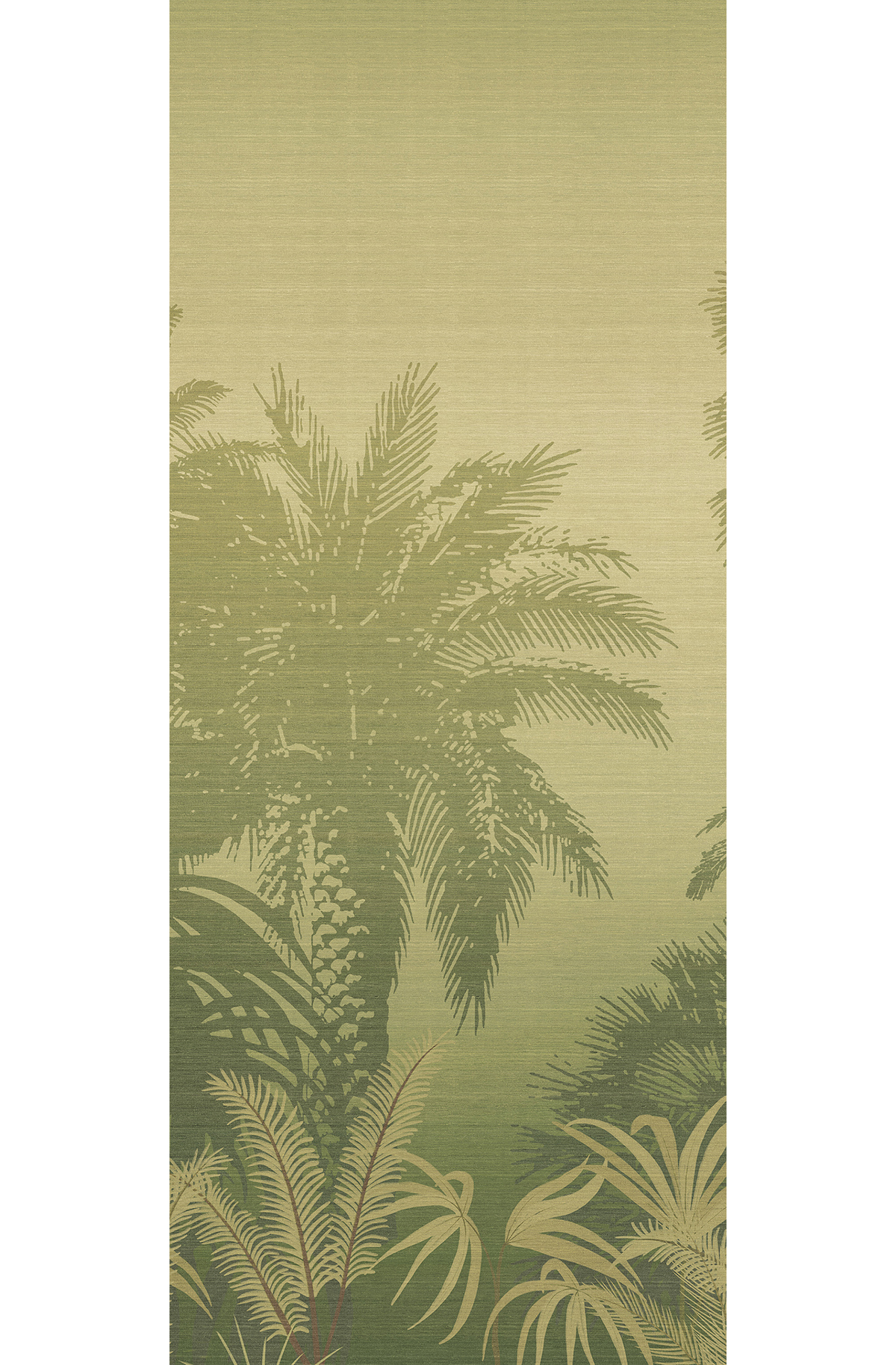 Papier peint panoramique Jungle Awarra vert - B H260 - Amazone de Masureel | Réf. MAS-DGZON1022-260