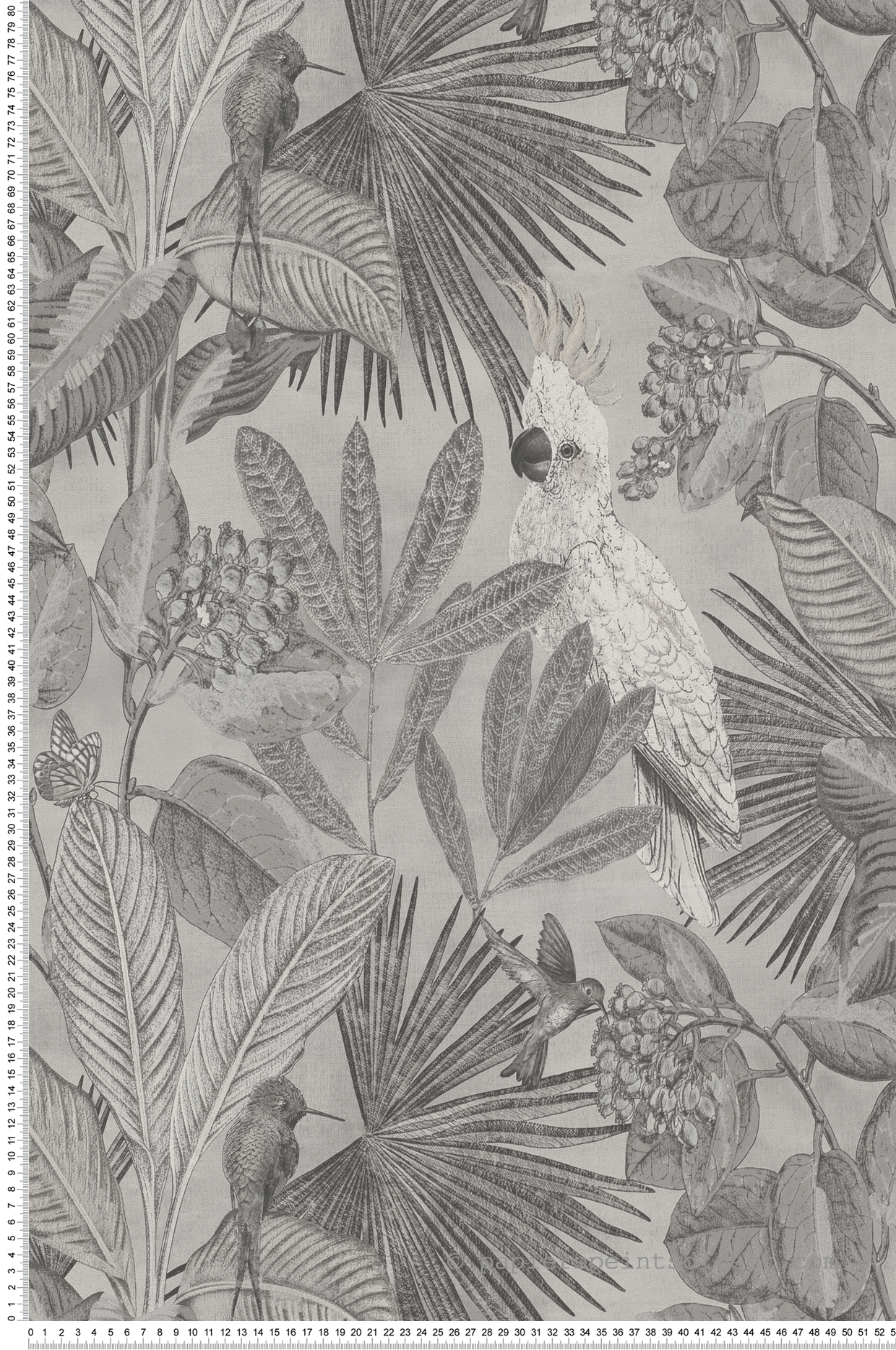 Papier peint Oiseaux tropicaux gris/noir et blanc - Savana de Lutèce | Réf. LTC-SAV120