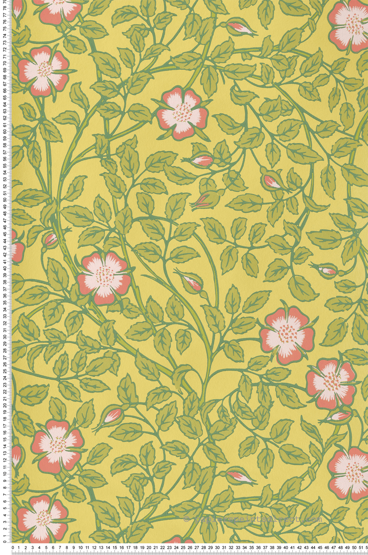 Papier peint Fleurs Briar Rose Indian Yellow - National Trust Papers 3 de Little Greene | Réf. 0263BRINDIA