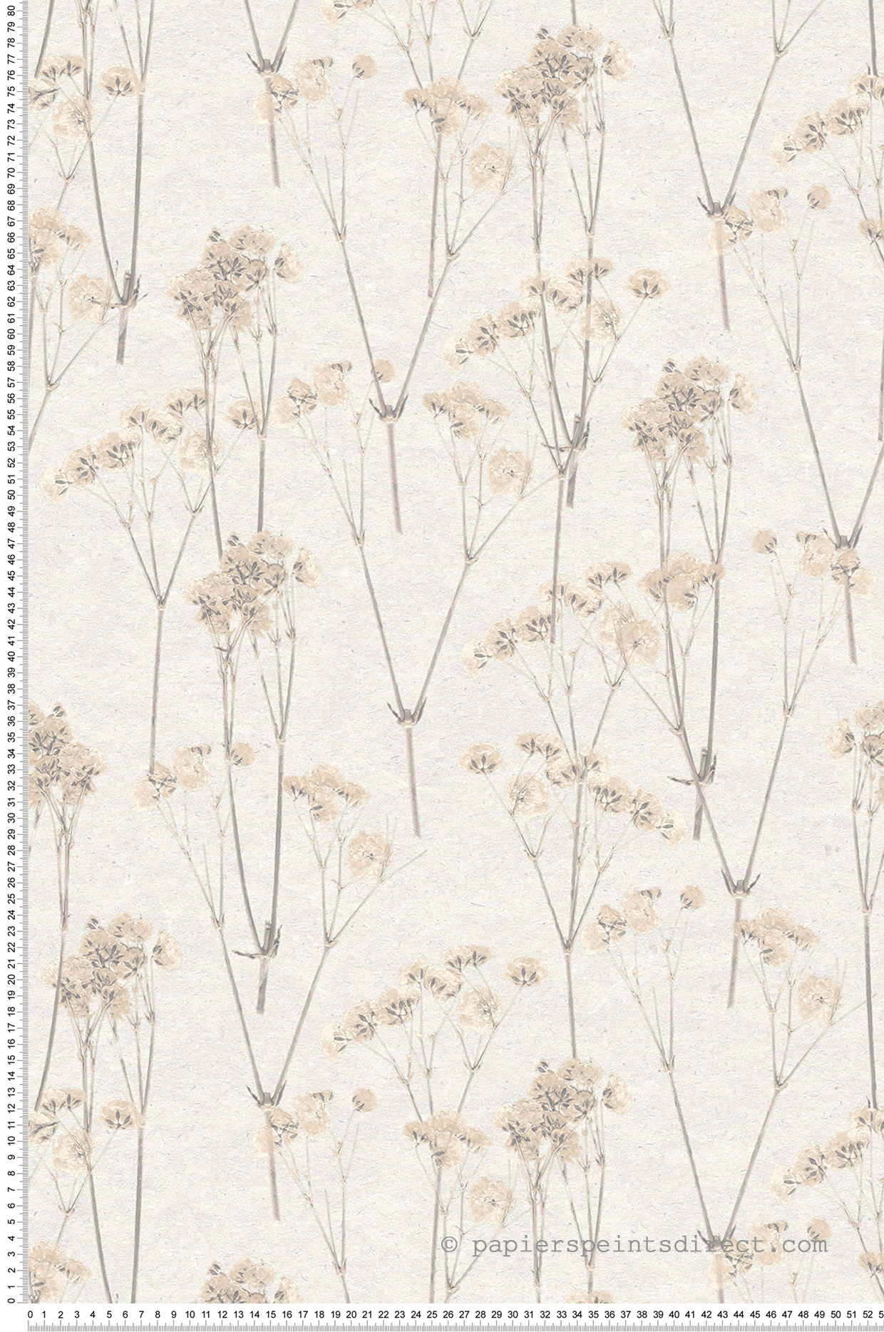 Papier peint Fleurs Séchées gris beige - Herbier de Montecolino | Réf. MC-HE27240