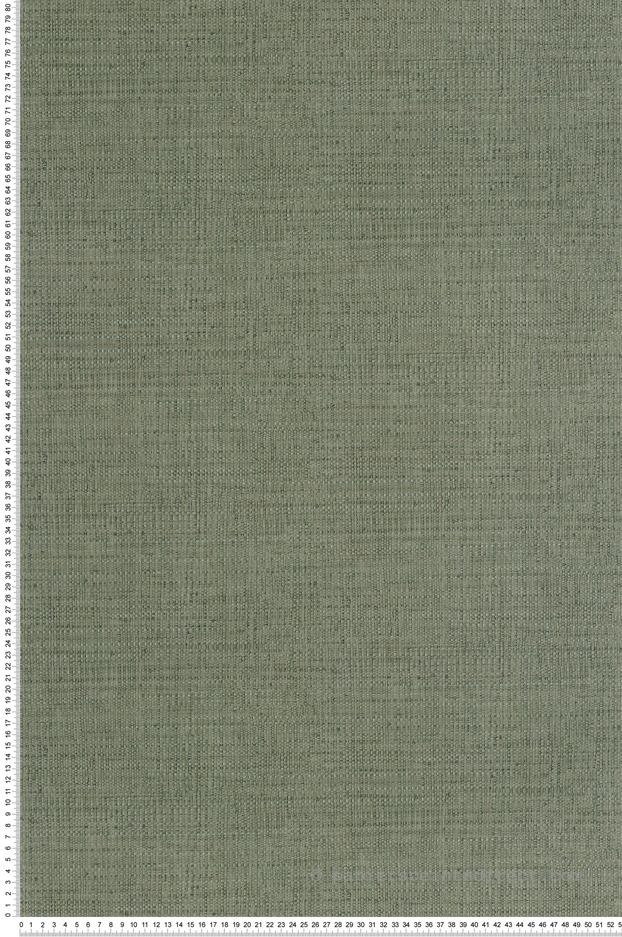 Papier peint Raphia Tissé vert mousse - Matières de Casélio | Réf. MMT105977206