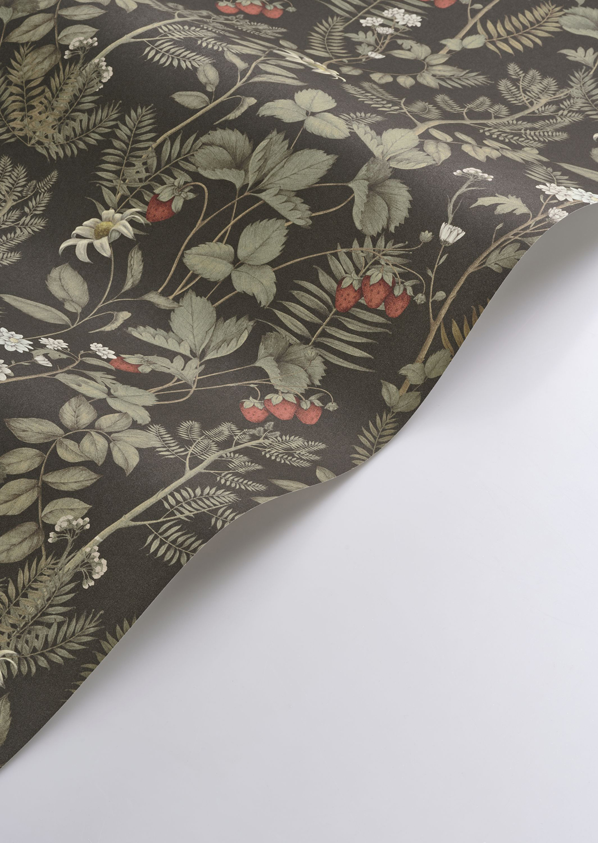 Papier peint Fraisier Strawberry Field noir fusain - Heritage de Casadéco AMBV | Réf. HETA201219817