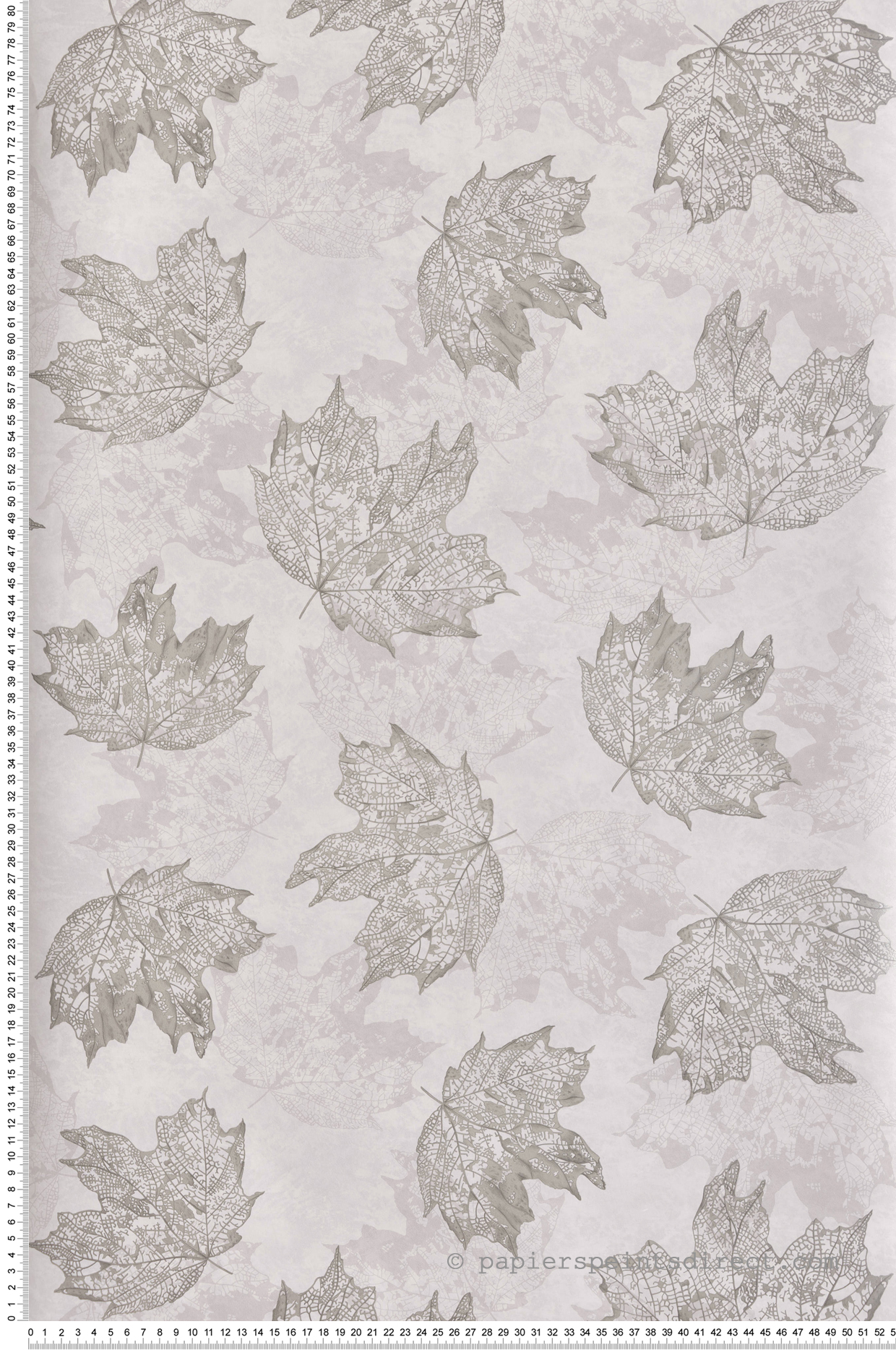 Papier peint Feuilles Sycamore gris - Folium de Osborne & Little | Réf. OSB-W7336-03