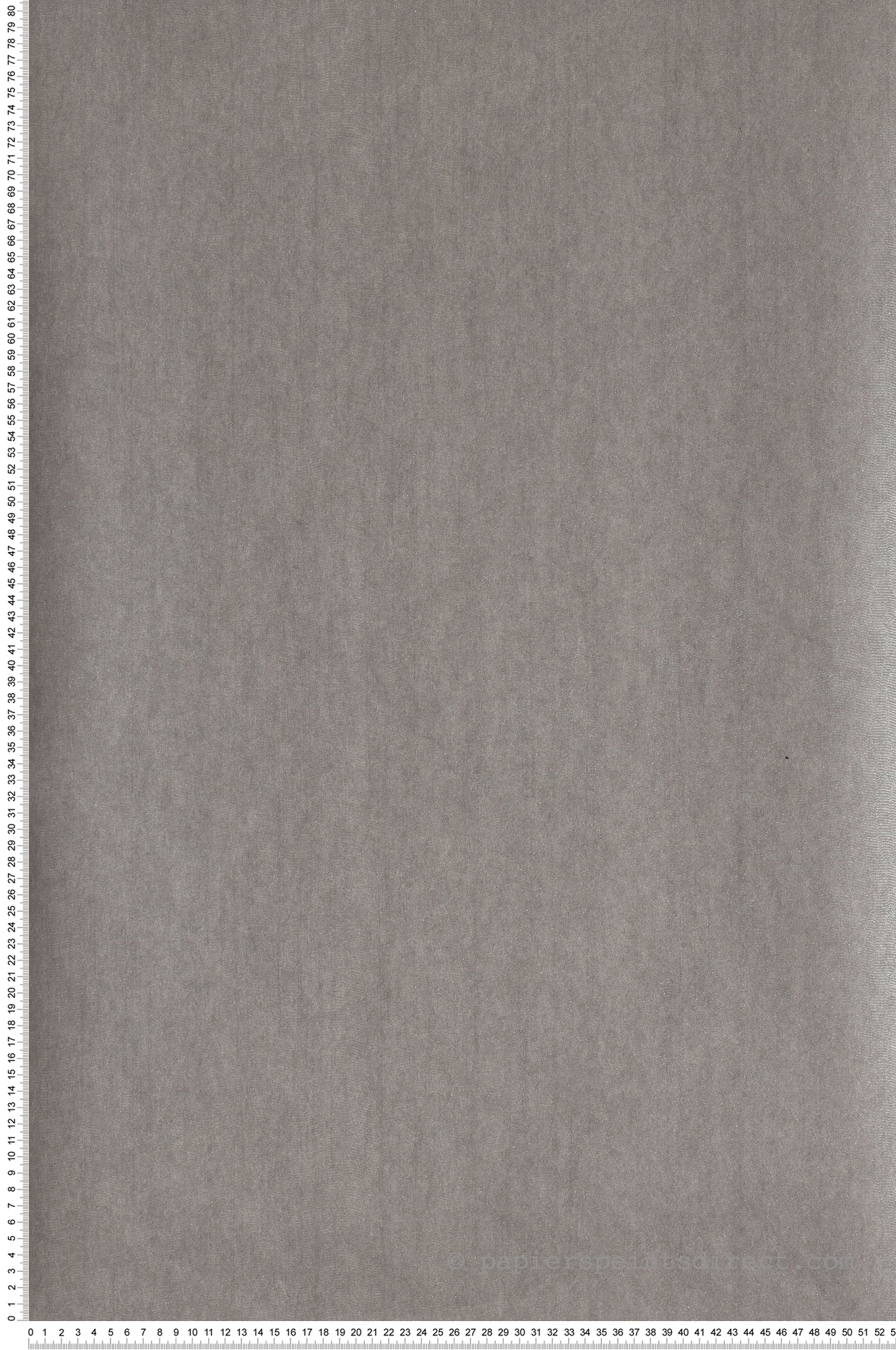 Papier peint Faux uni Gallant gris fer - Blossom de Casamance | Réf. CAS-72341063